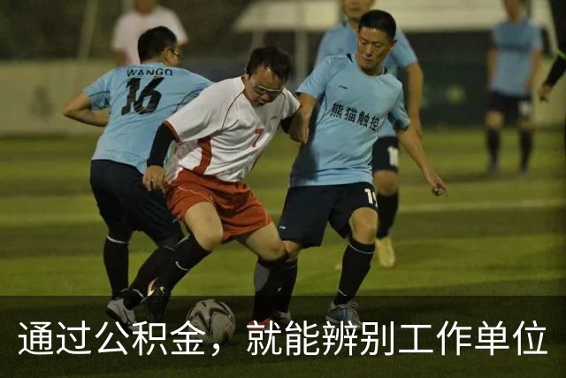 通过公积金，就能辨别工作单位
